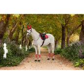 LeMieux Schabracke Loire Classic Vielseitigkeit Cranberry