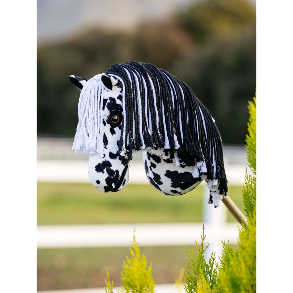 LeMieux Hobby Horse Dakota Appaloosa Dakota Black