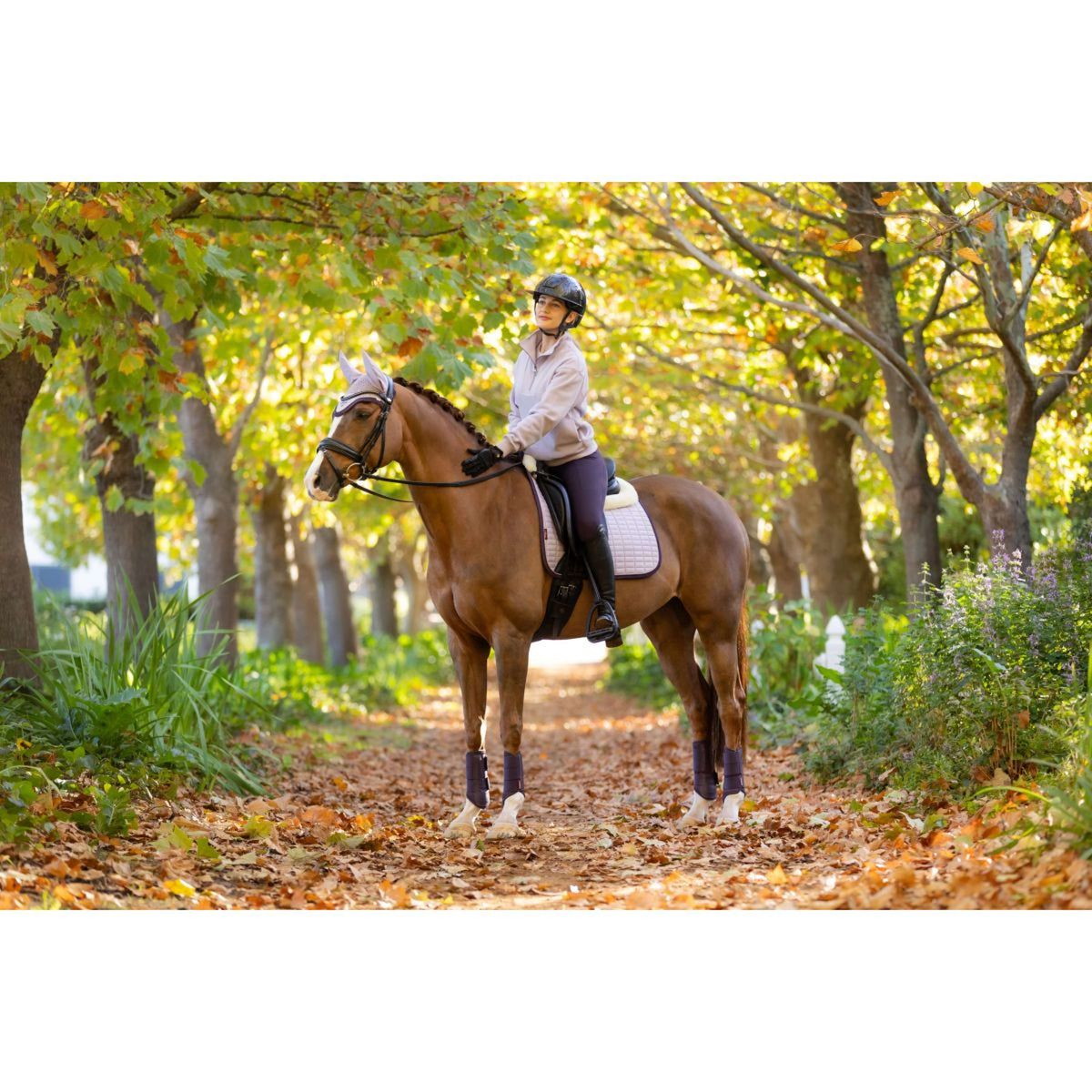 LeMieux Sweater Keira Lila