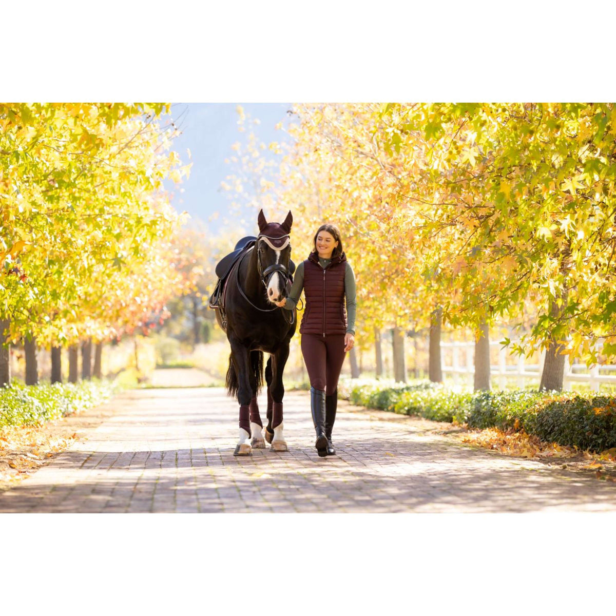 LeMieux Weste Rose Damaszenerpflaume