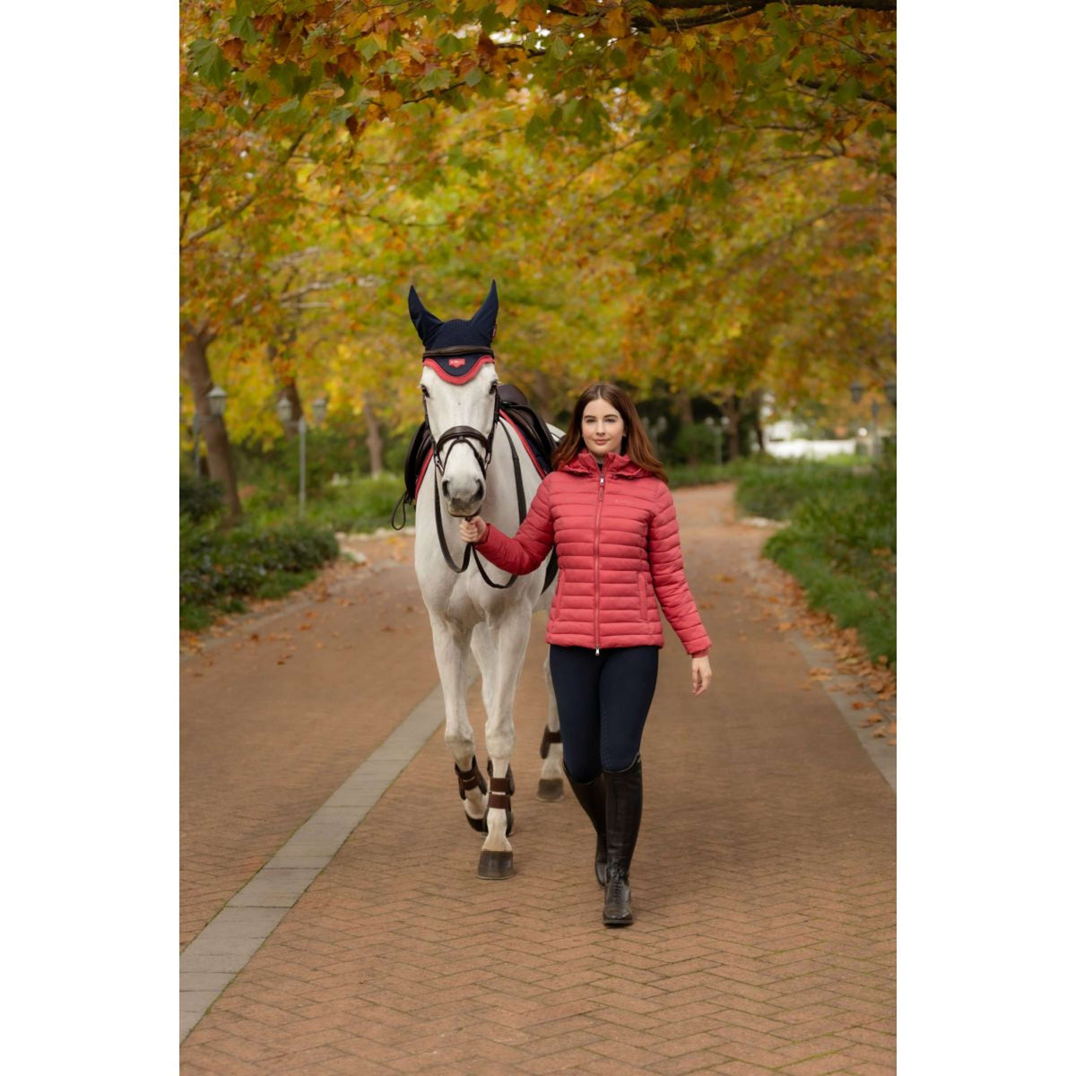 LeMieux Jacke Rose Kurz Cranberry