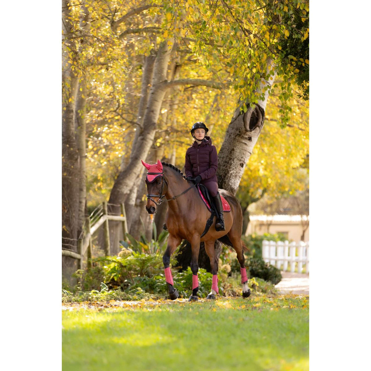 LeMieux Jacke Brooke Waterproof Damson