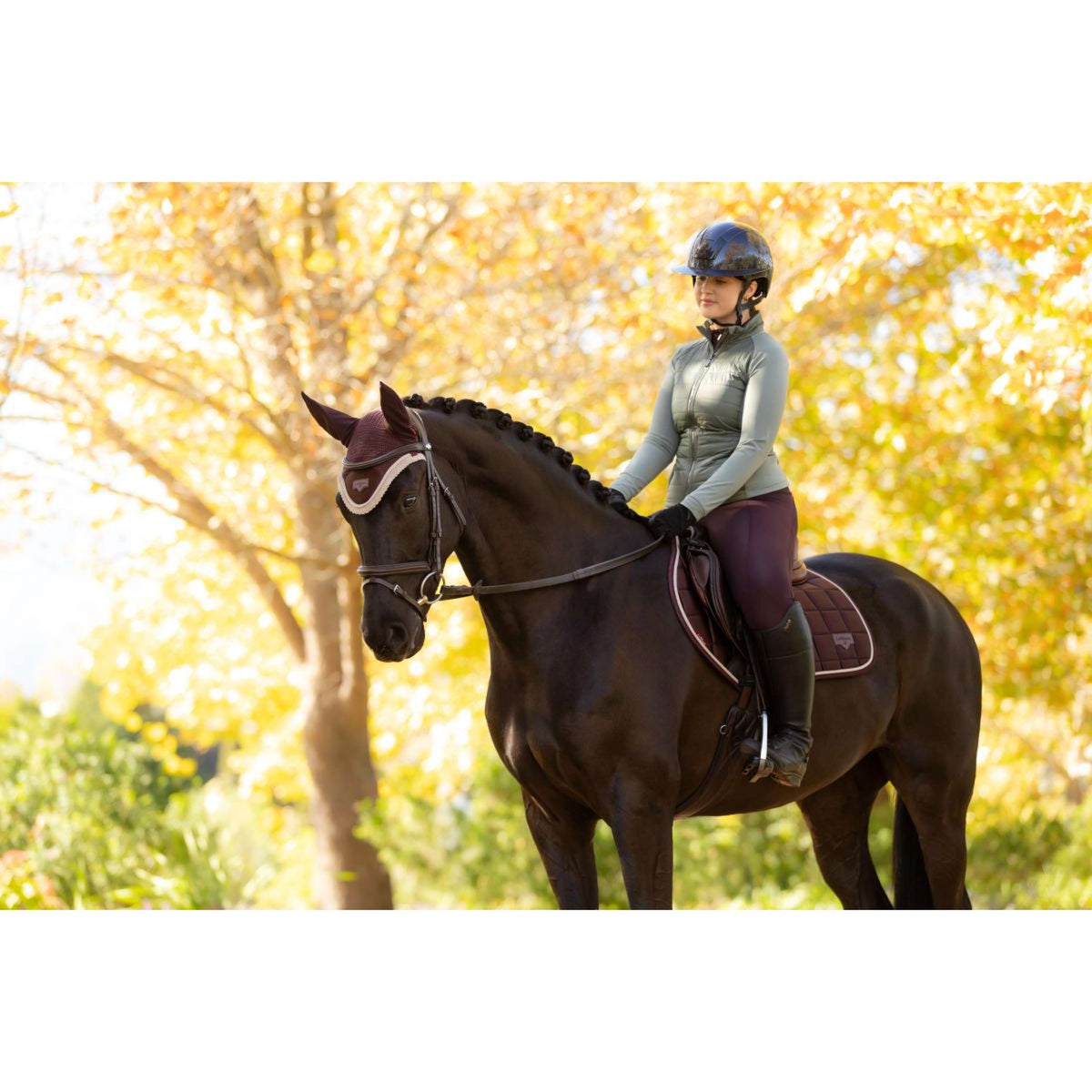 LeMieux Jacke Juliette Kurz Rosemary