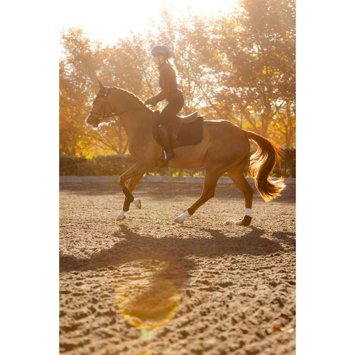 LeMieux Schabracke Essence Springen Schwarz