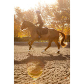 LeMieux Schabracke Essence Springen Schwarz