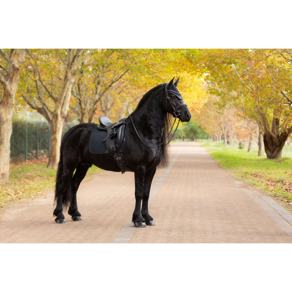 LeMieux Schabracke Essence Dressur Schwarz