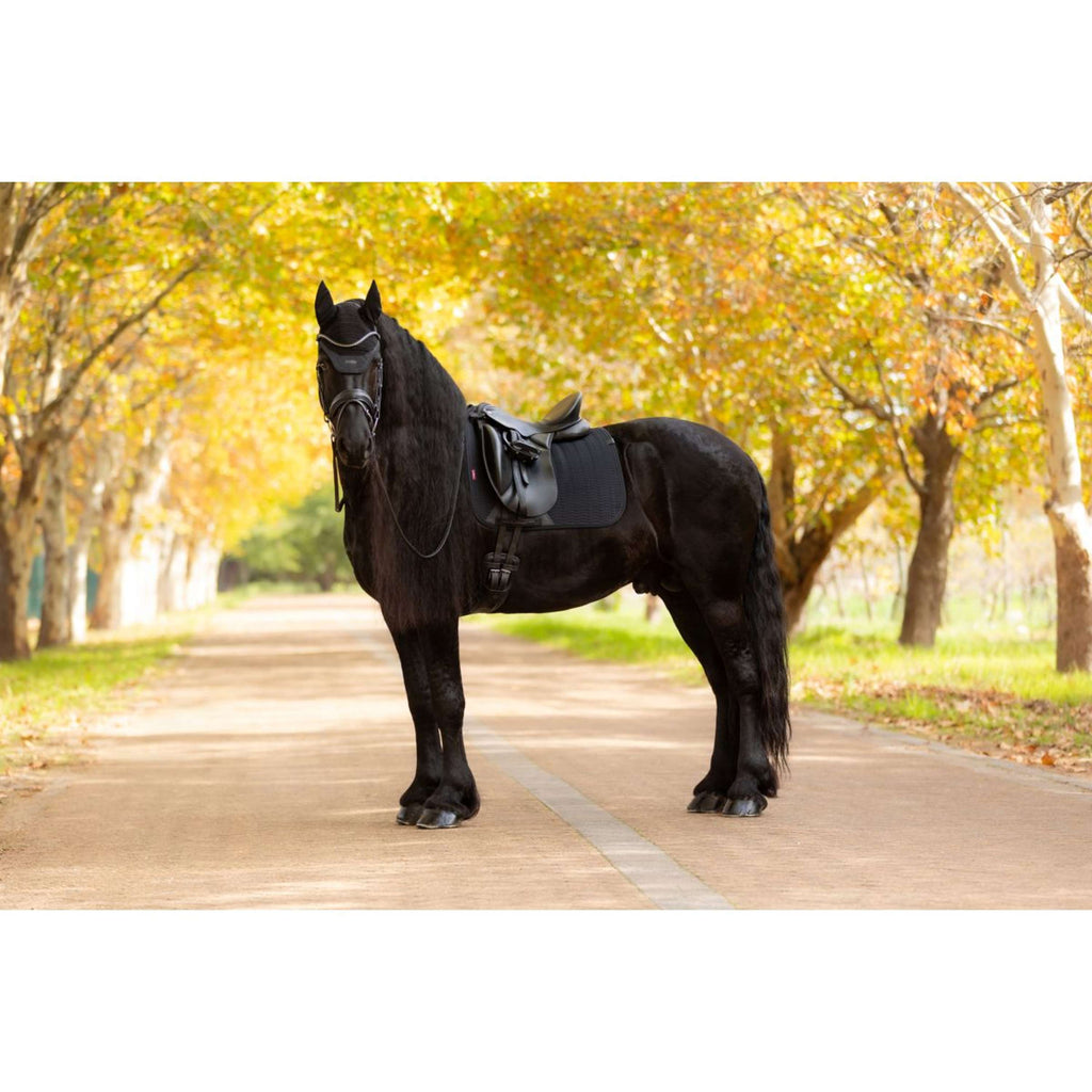 LeMieux Schabracke Essence Dressur Schwarz