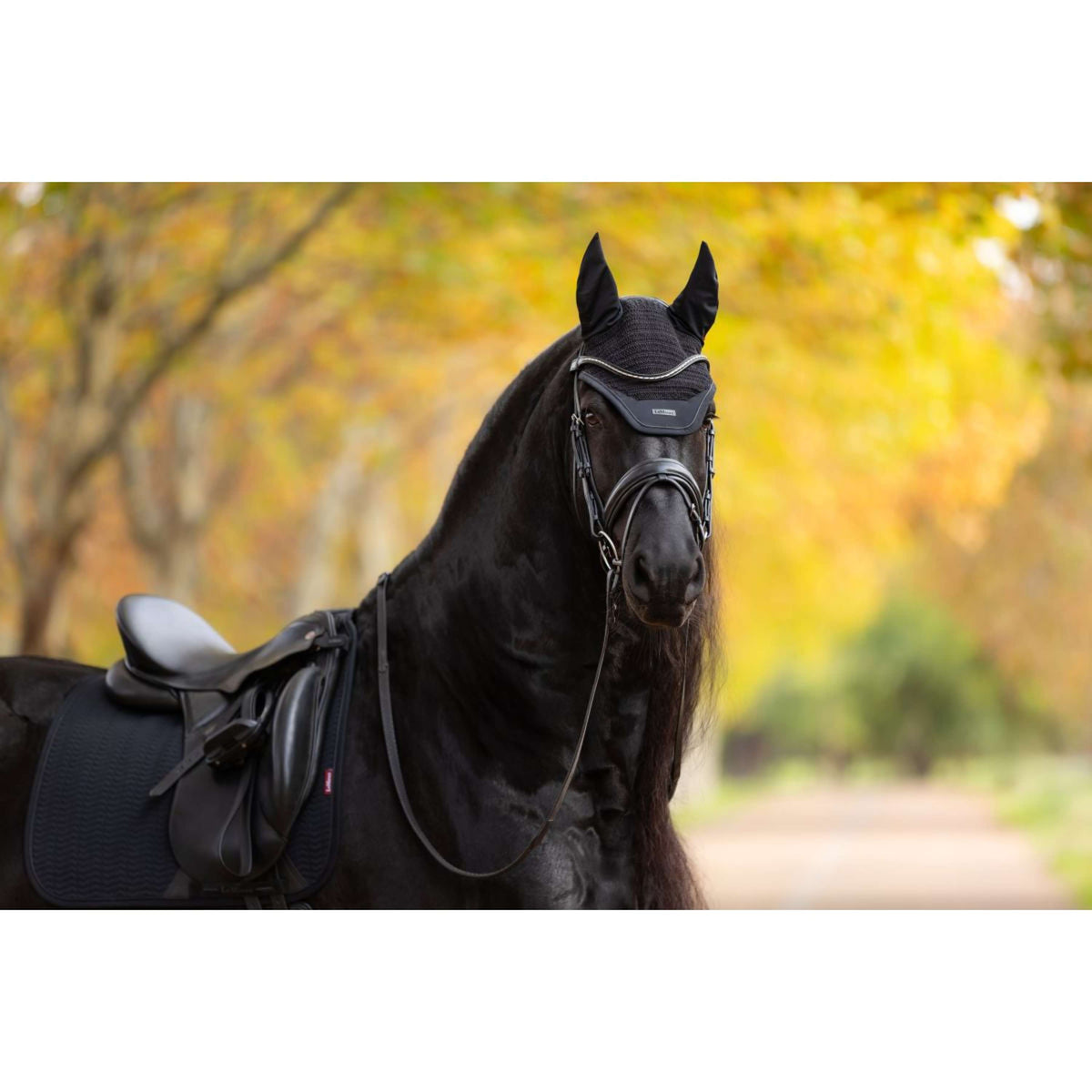 LeMieux Fliegenhaube Essence Schwarz