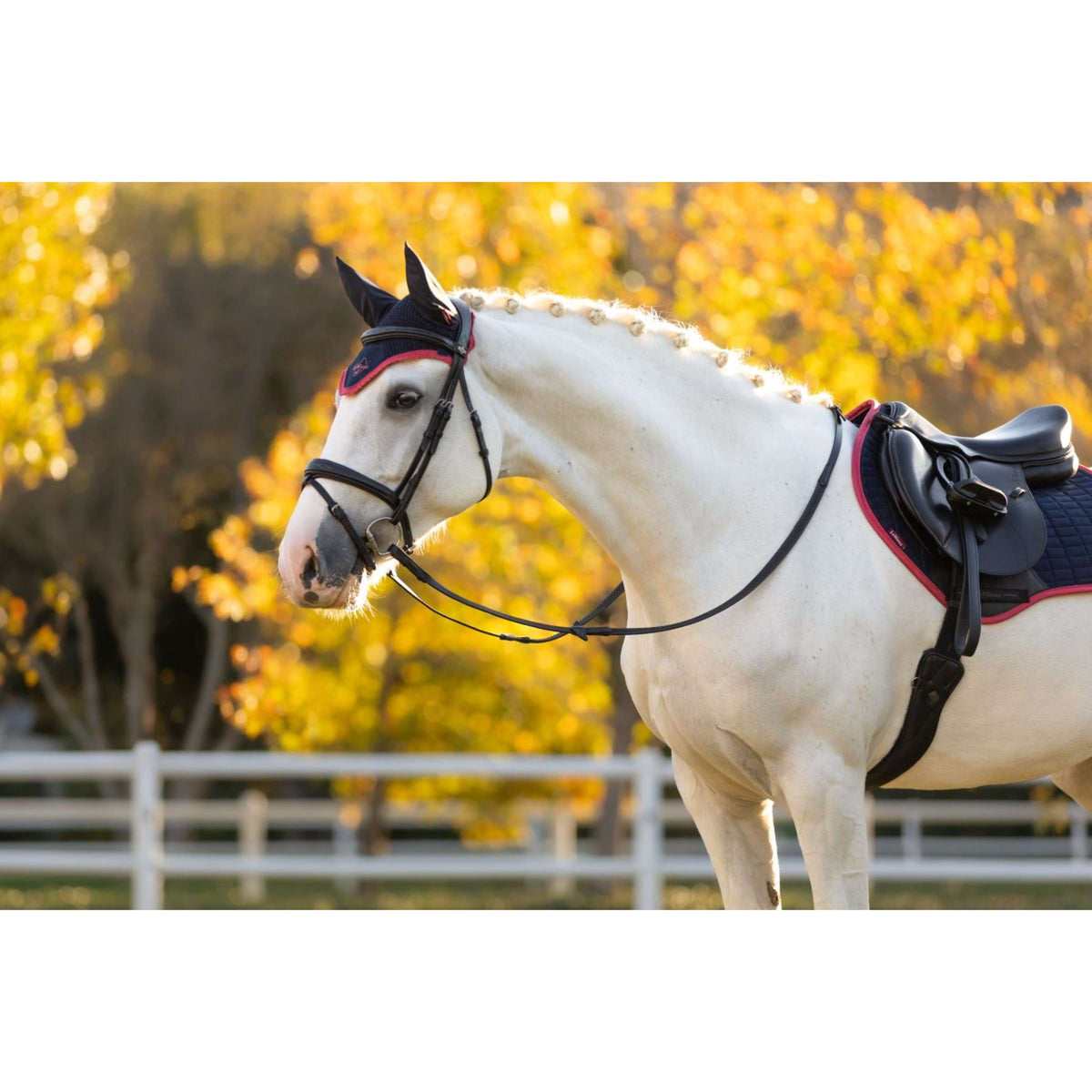 LeMieux Fliegenhaube Classic Navy/Cranberry