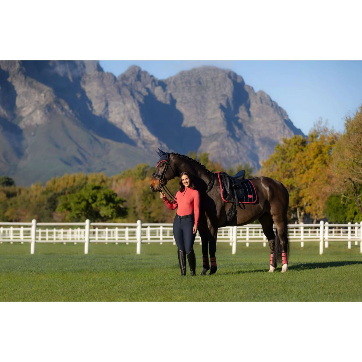 LeMieux Schabracke Loire Classic Dressur Navy/Cranberry