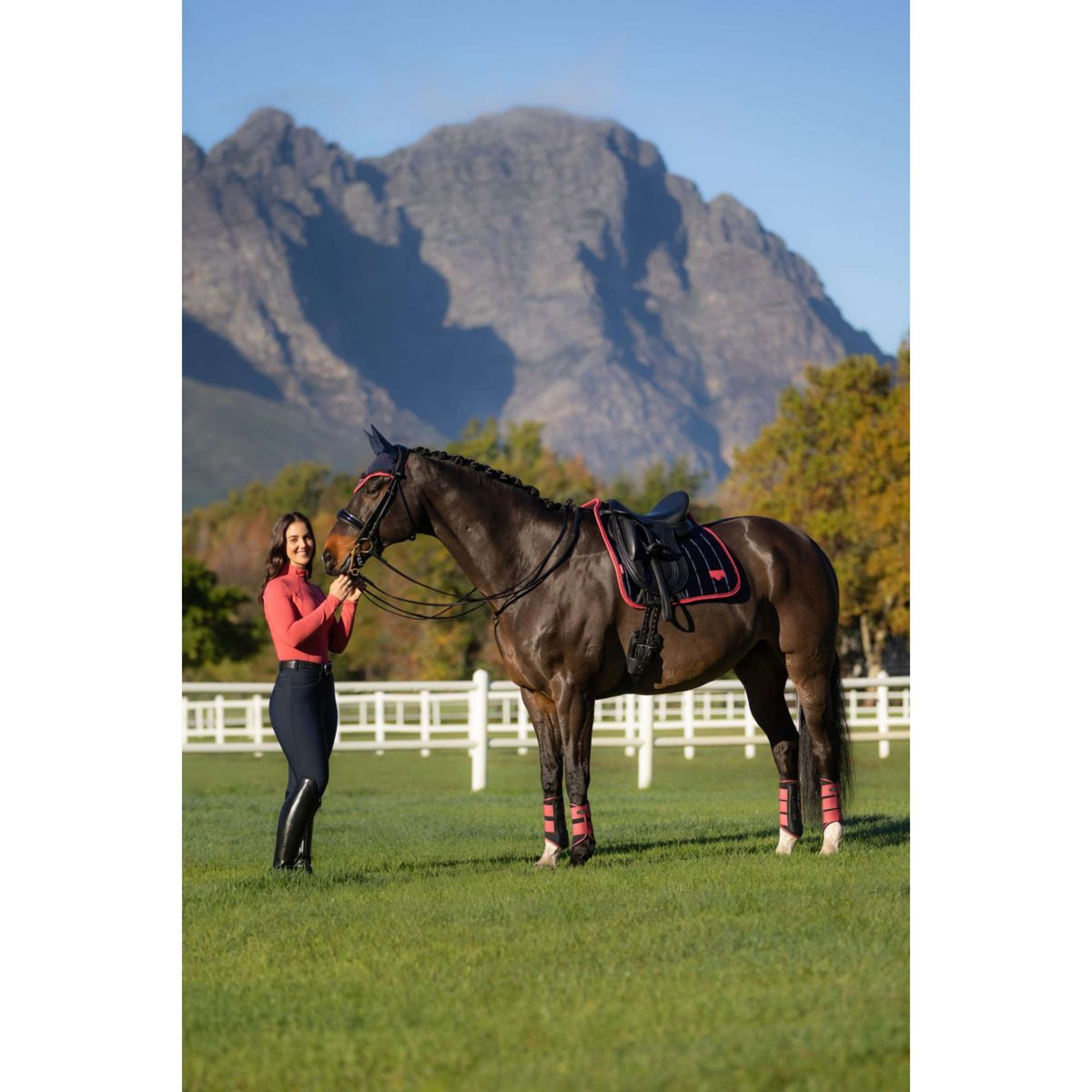 LeMieux Schabracke Loire Classic Dressur Navy/Cranberry