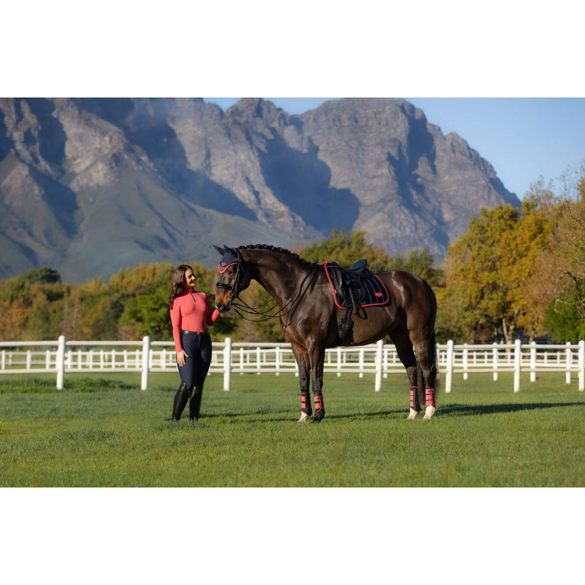 LeMieux Schabracke Loire Classic Dressur Navy/Cranberry