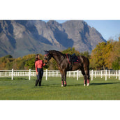 LeMieux Schabracke Loire Classic Dressur Navy/Cranberry