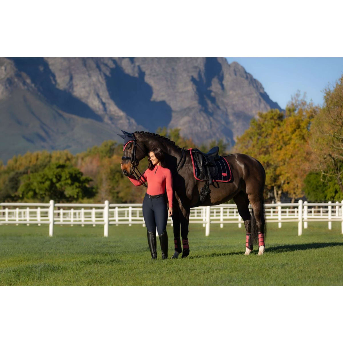 LeMieux Schabracke Loire Classic Dressur Navy/Cranberry