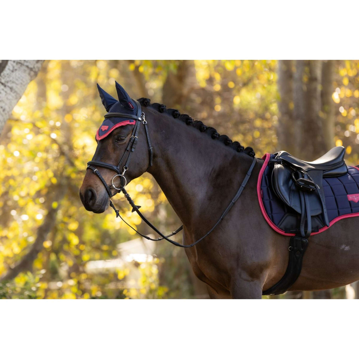 LeMieux Schabracke Loire Classic Vielseitigkeit Navy/Cranberry