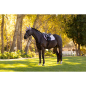 LeMieux Schabracke Merino Suede Springen Lila