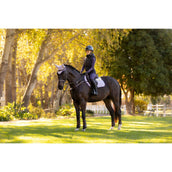 LeMieux Schabracke Merino Suede Springen Lila