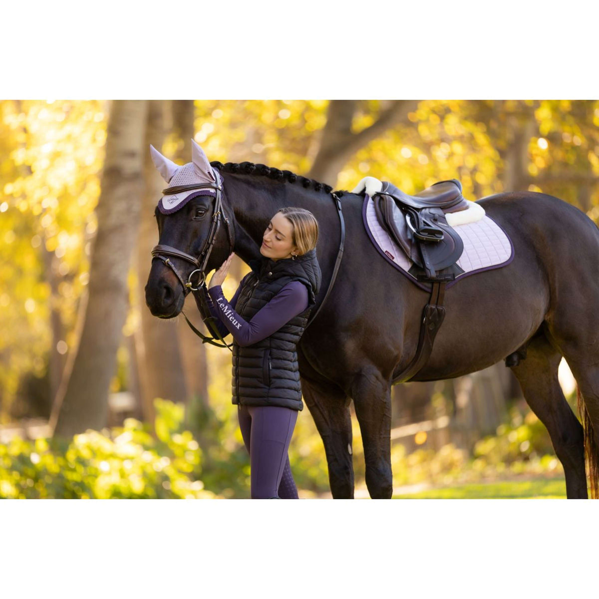 LeMieux Schabracke Merino Suede Springen Lila