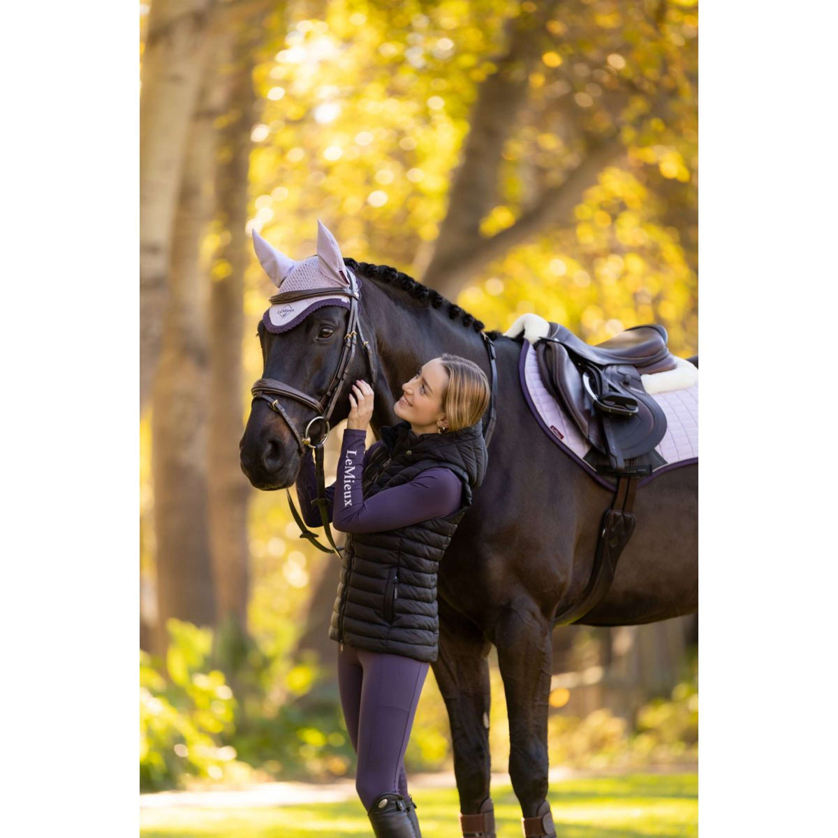 LeMieux Schabracke Merino Suede Springen Lila