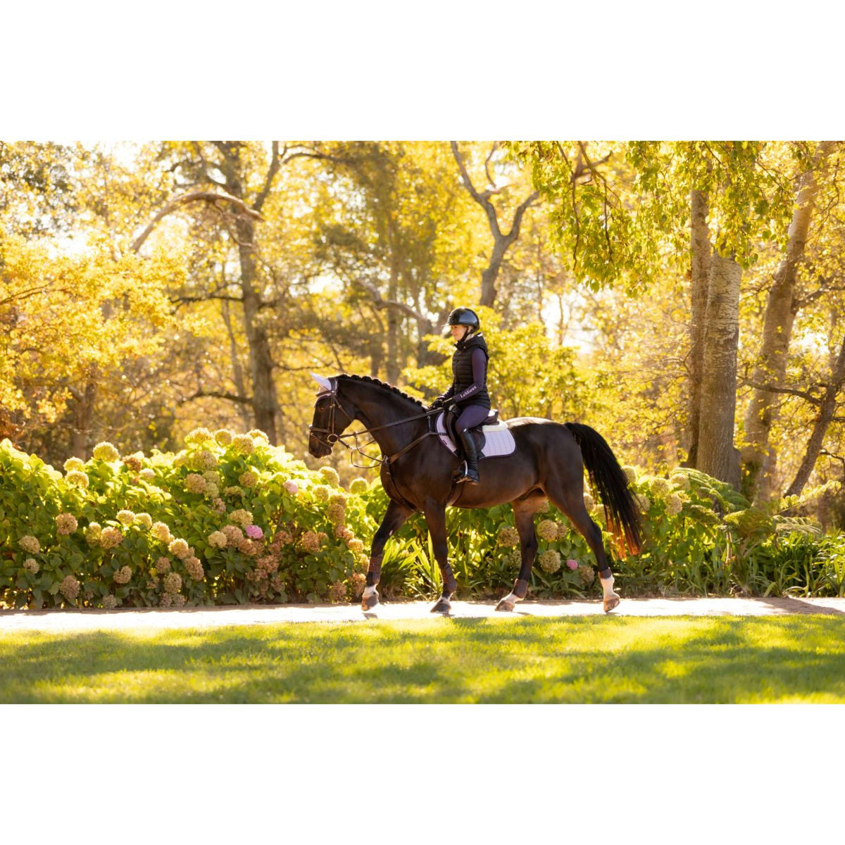 LeMieux Schabracke Merino Suede Springen Lila
