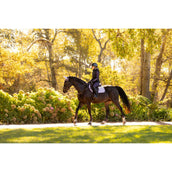 LeMieux Schabracke Merino Suede Springen Lila