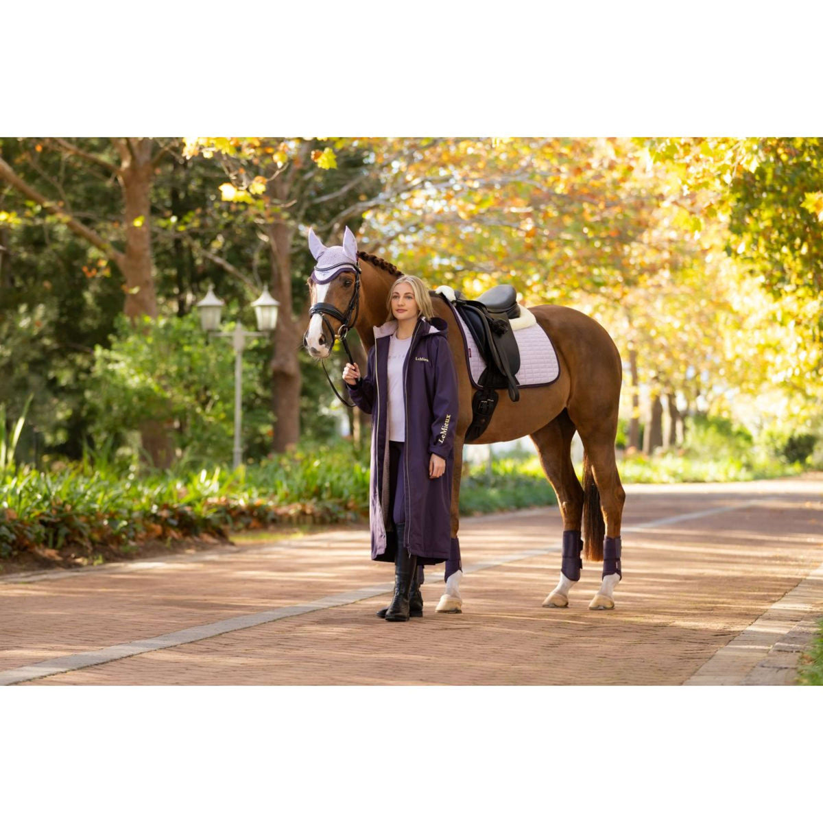 LeMieux Schabracke Merino Suede Dressur Lila