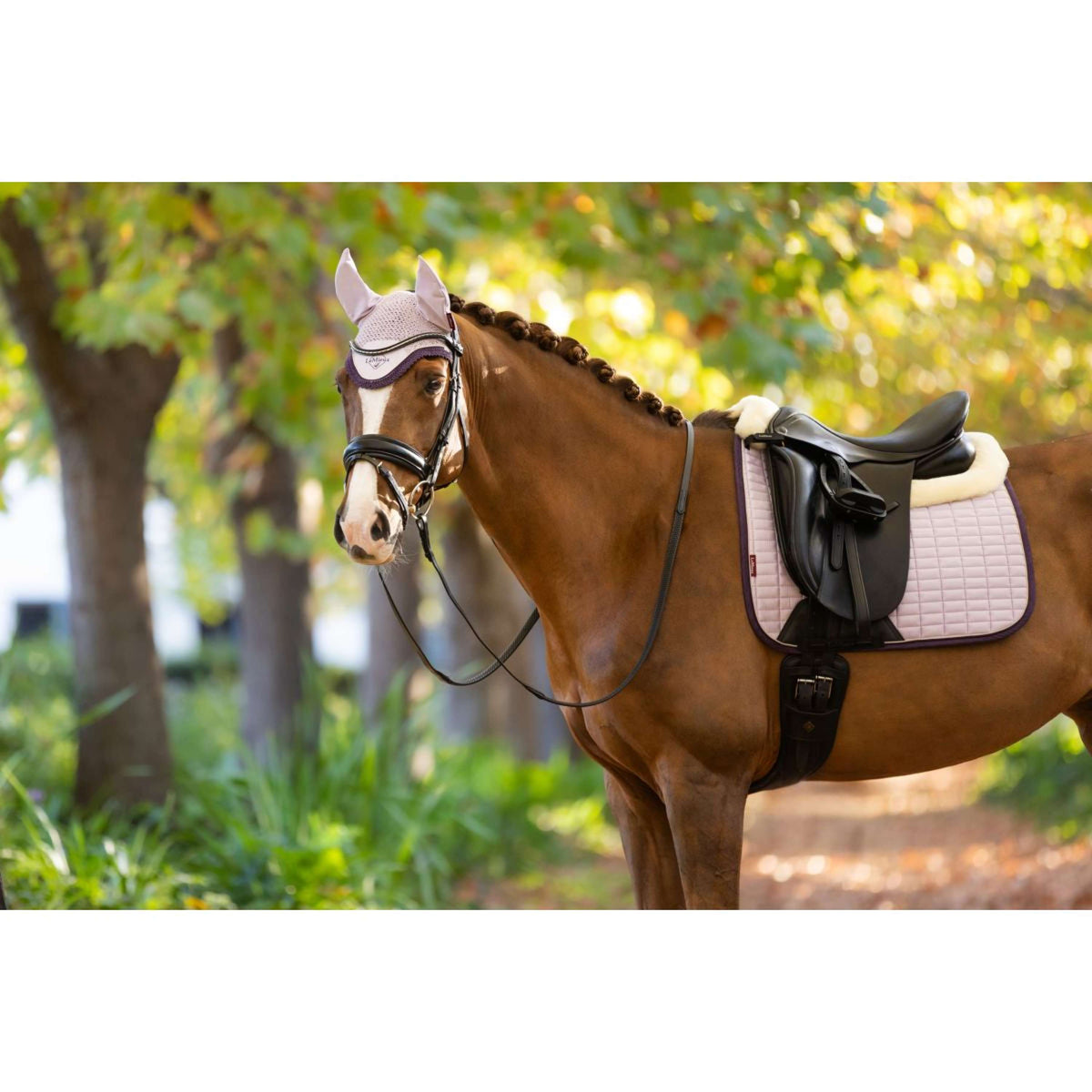 LeMieux Schabracke Merino Suede Dressur Lila