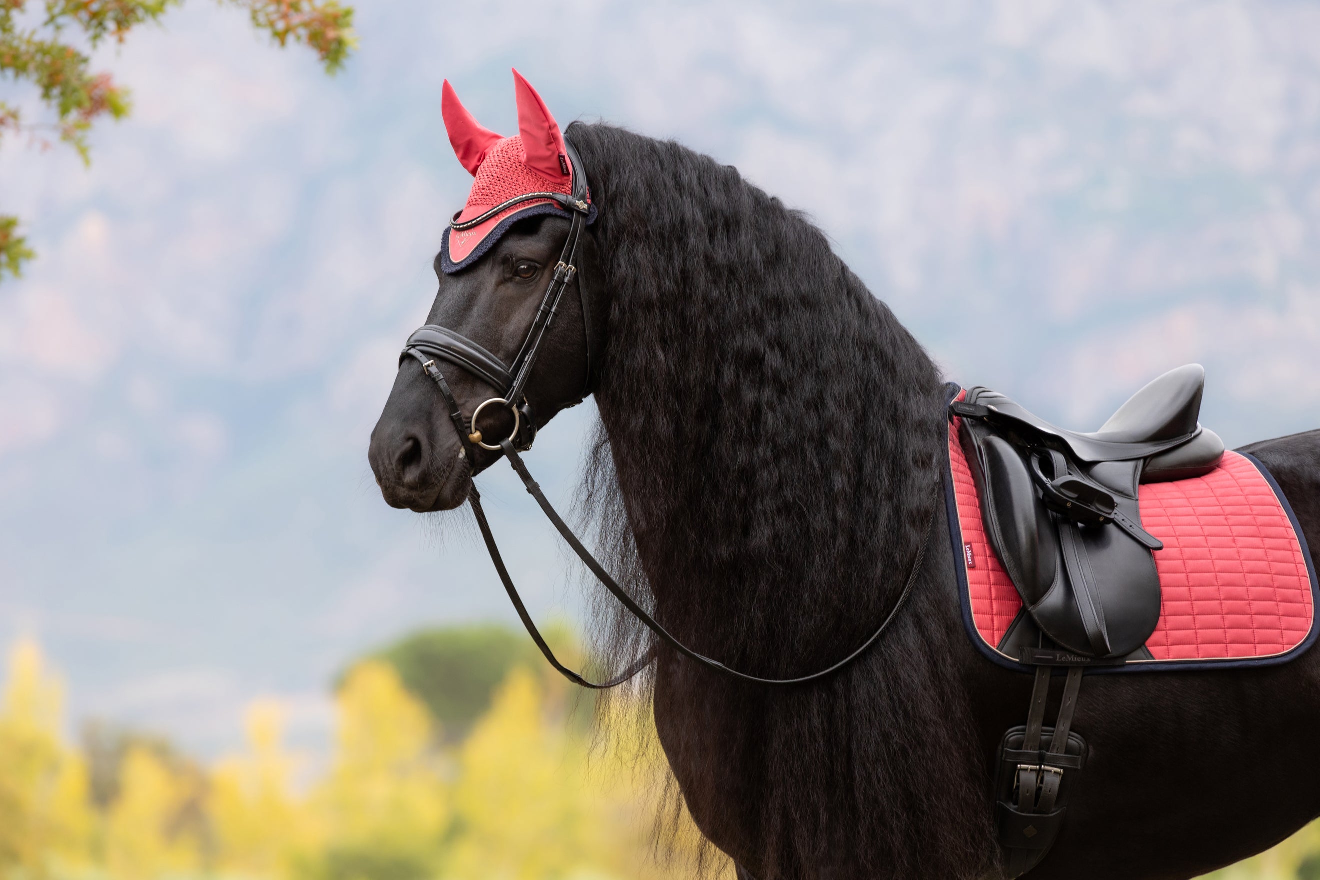 LeMieux Winter 25/26 Cranberry