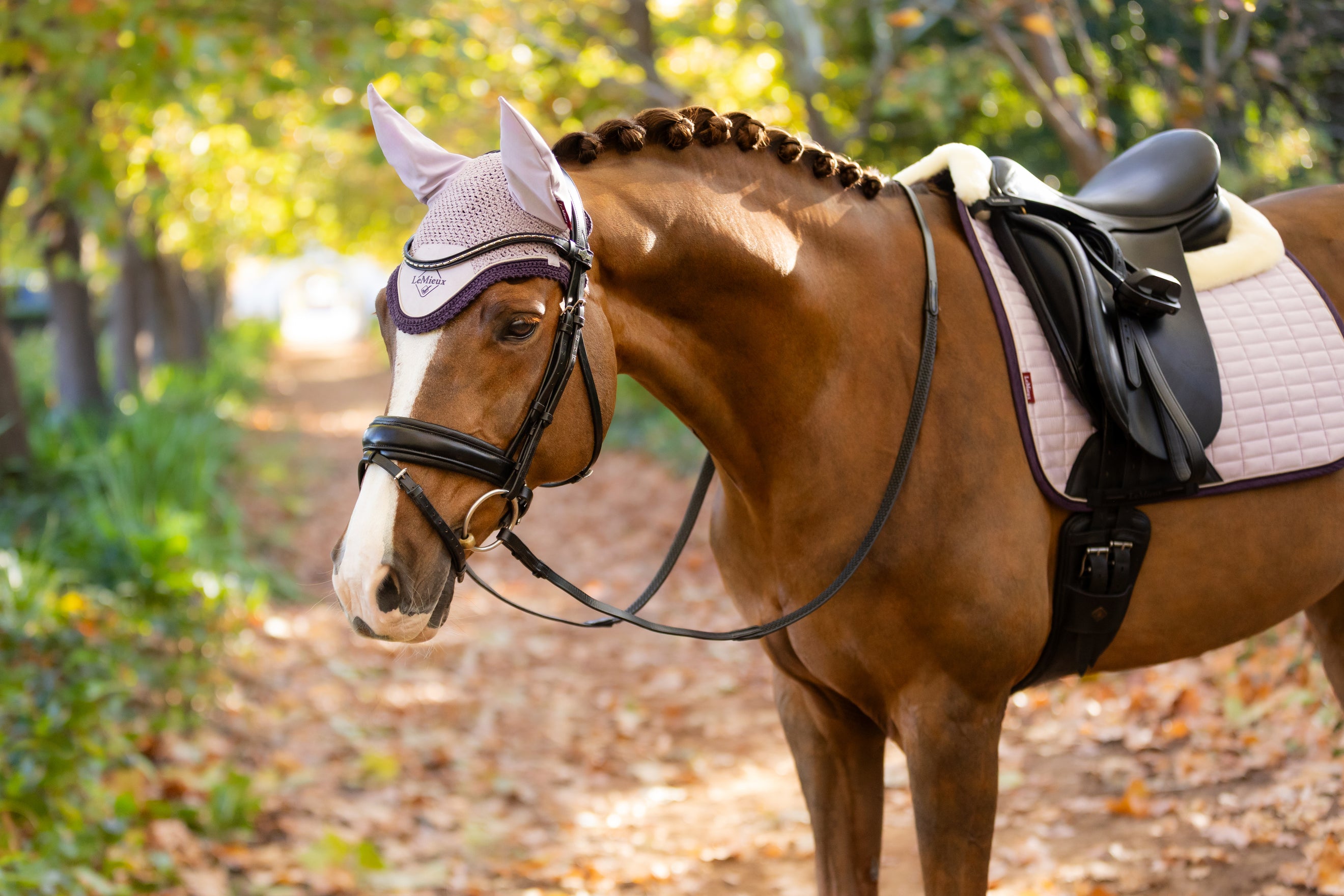 LeMieux Winter 25/26 Lilac