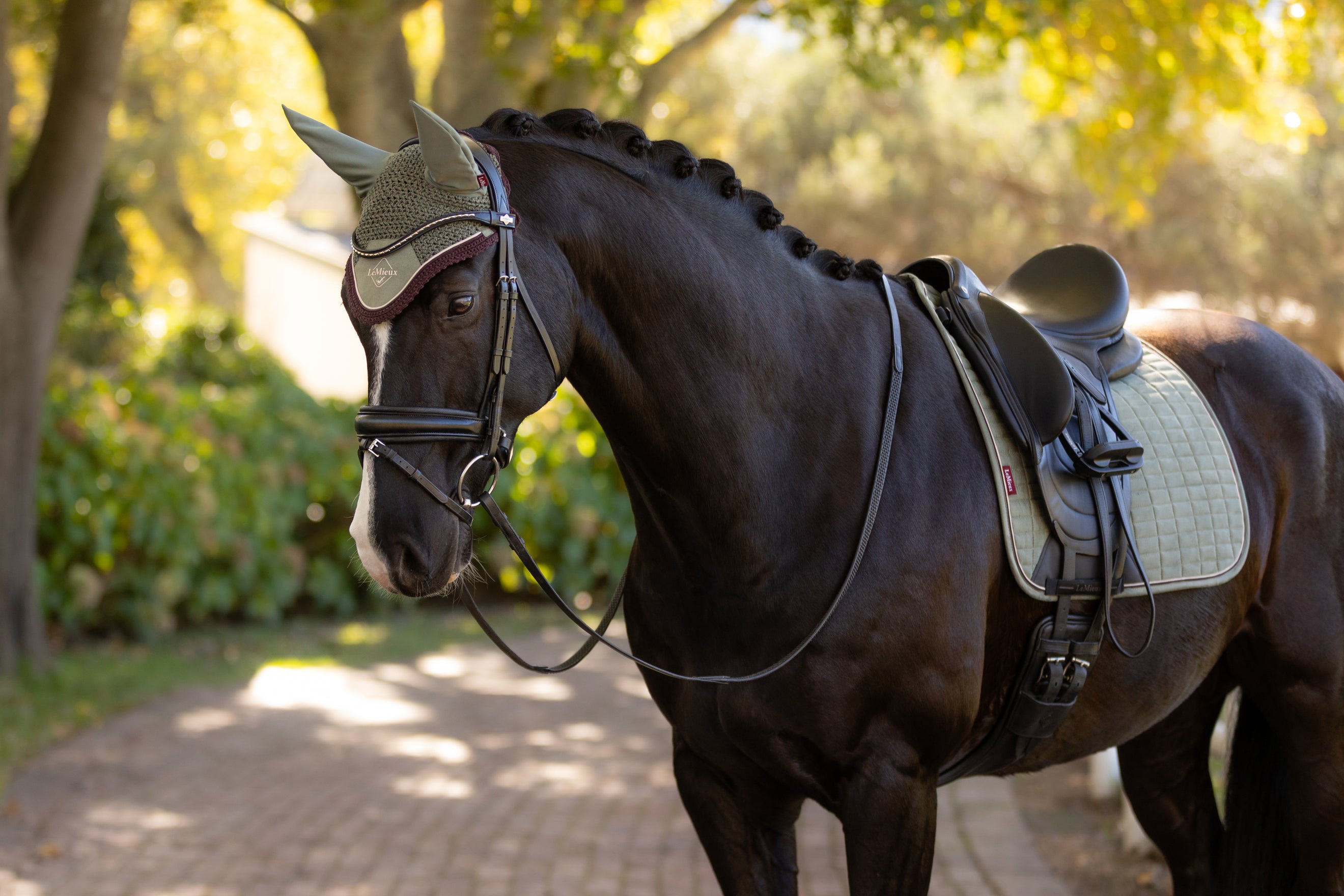 LeMieux Winter 25/26 Rosemary