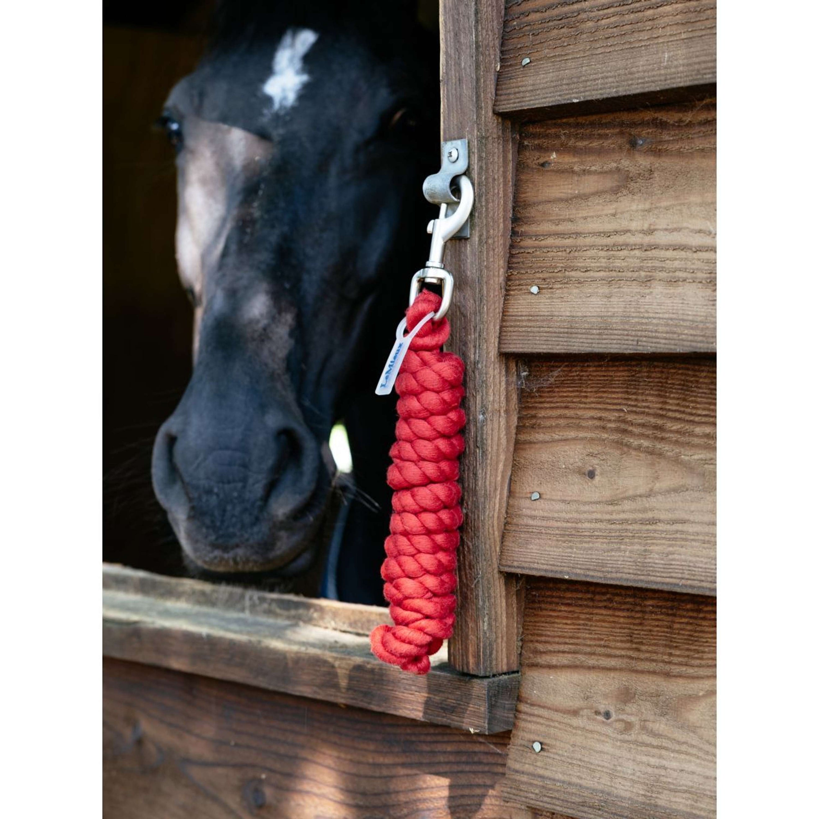 LeMieux Führstrick Polycotton Chilli