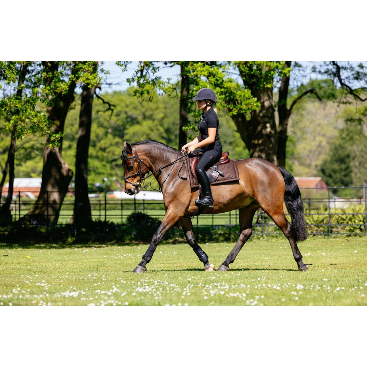 LeMieux Schabracke Pillow Pad Braun