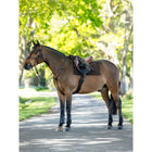 LeMieux Schabracke Pillow Pad Braun