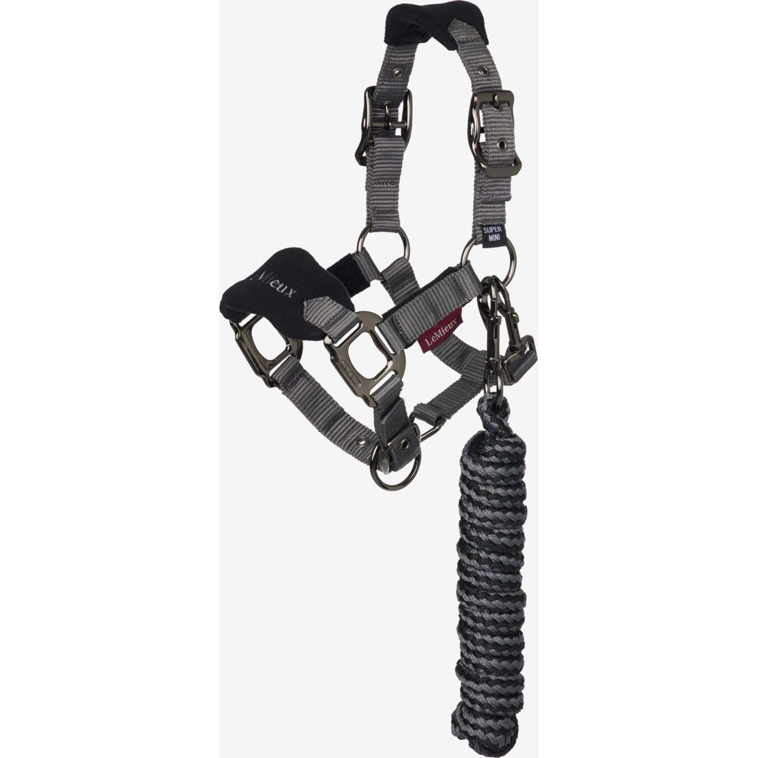 LeMieux Halfterset Mini Vogue Schwarz LeMieux Halfterset Mini Vogue Schwarz