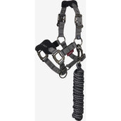 LeMieux Halfterset Mini Vogue Schwarz