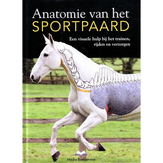 Anatomie van het sportpaard