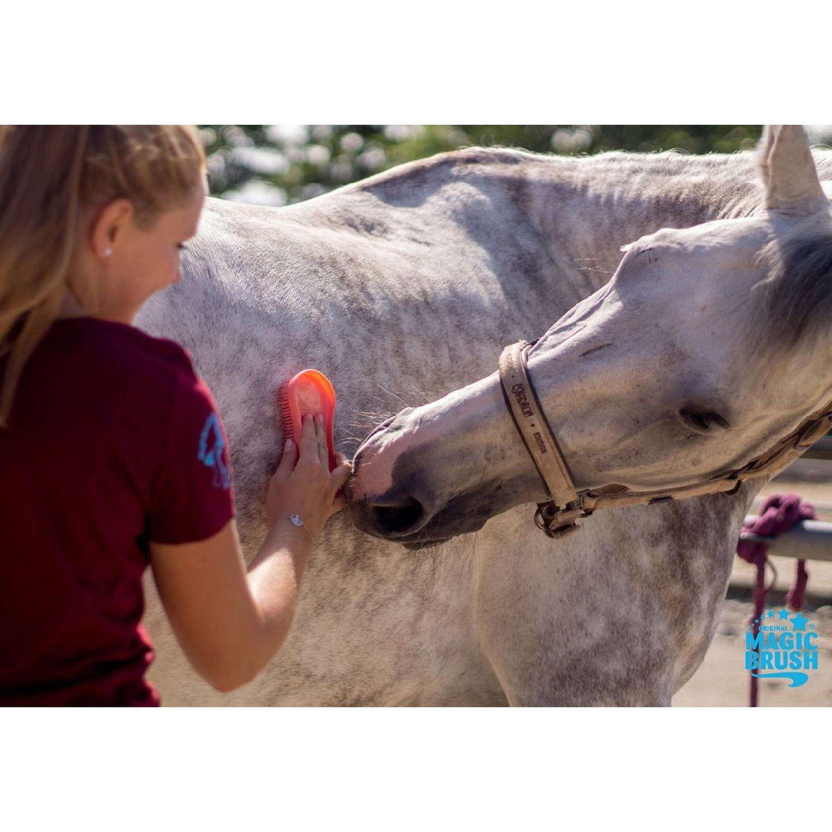 Magic Brush Bürste Pink Pony Pink