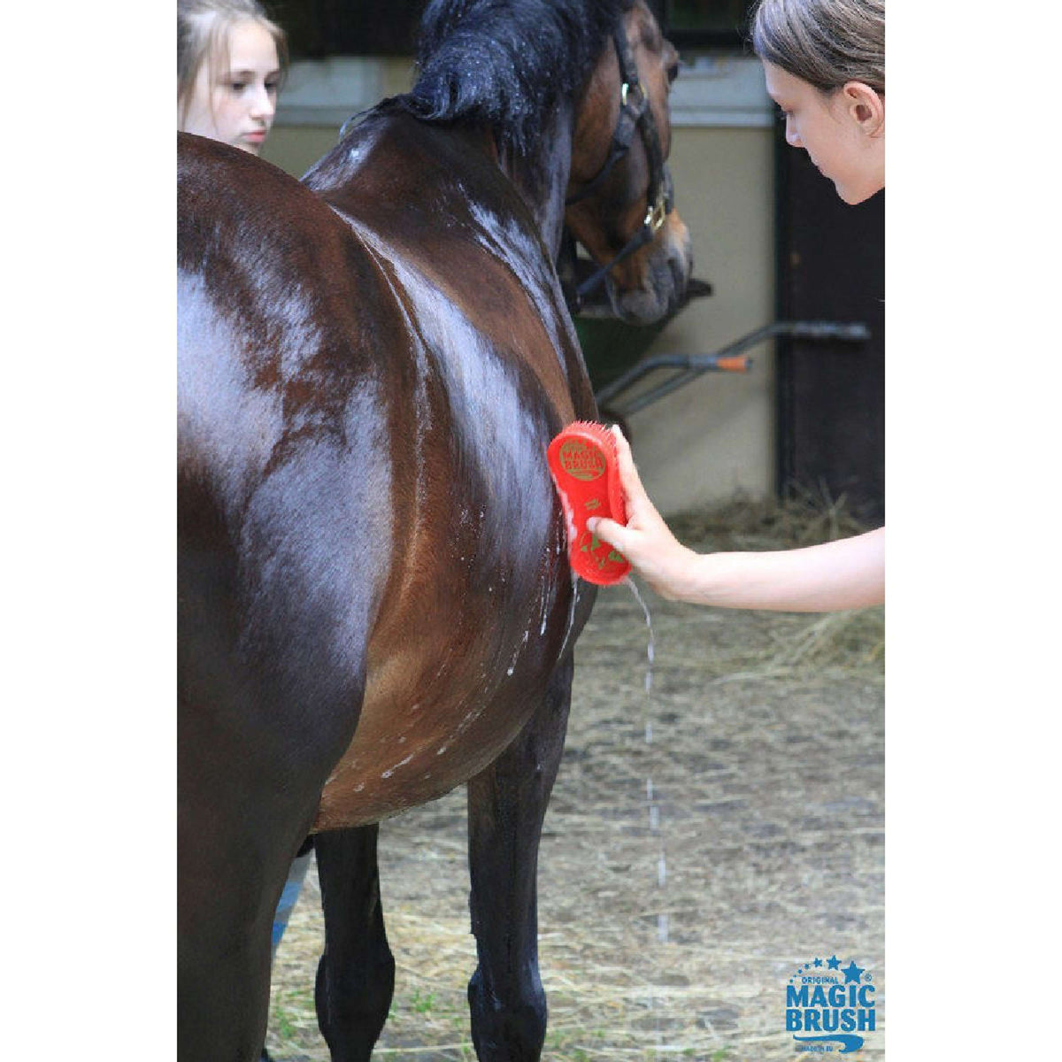 Magic Brush Bürste Pink Pony Pink