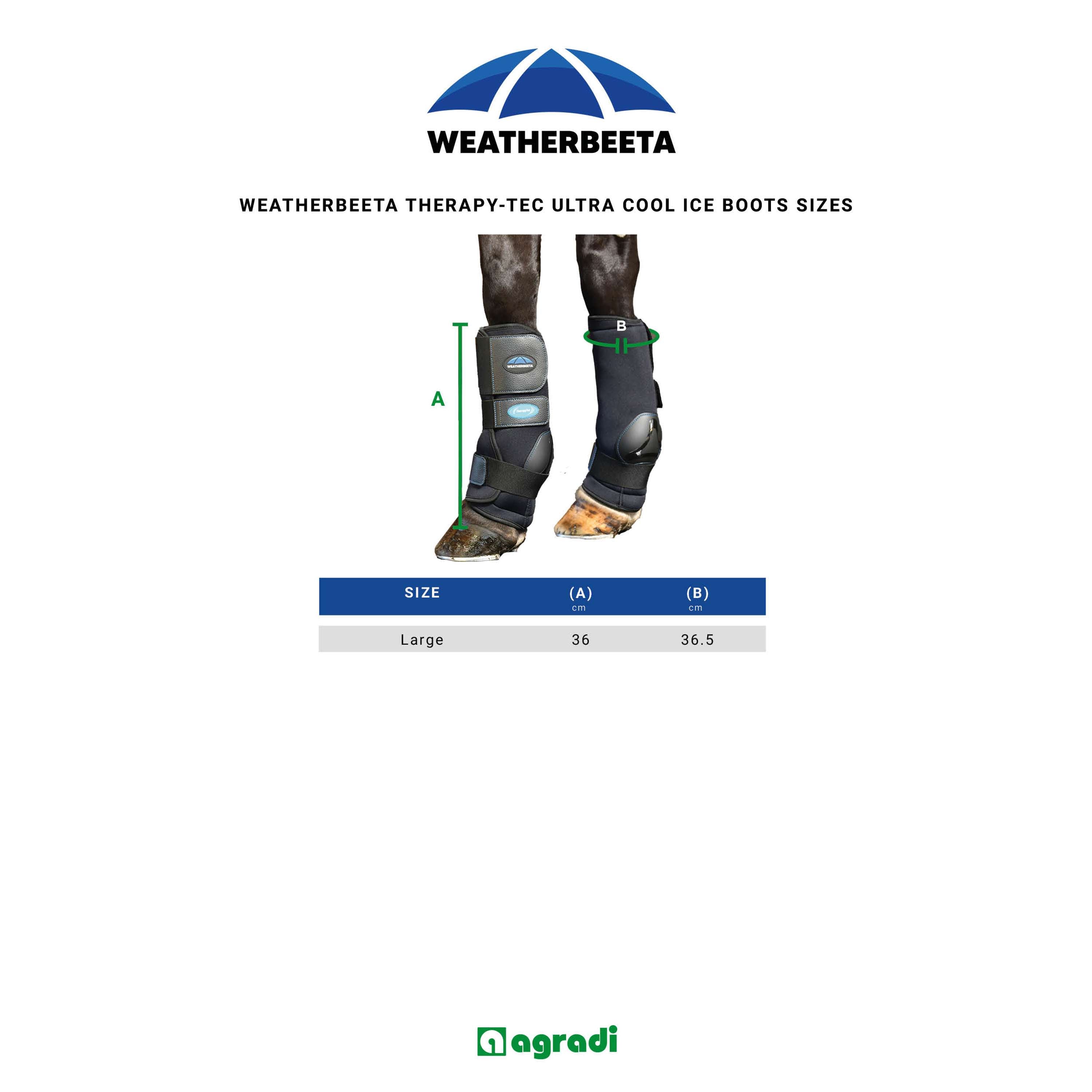 WeatherBeeta Ice Boots Therapy-Tec II Ultra Cool Schwarz