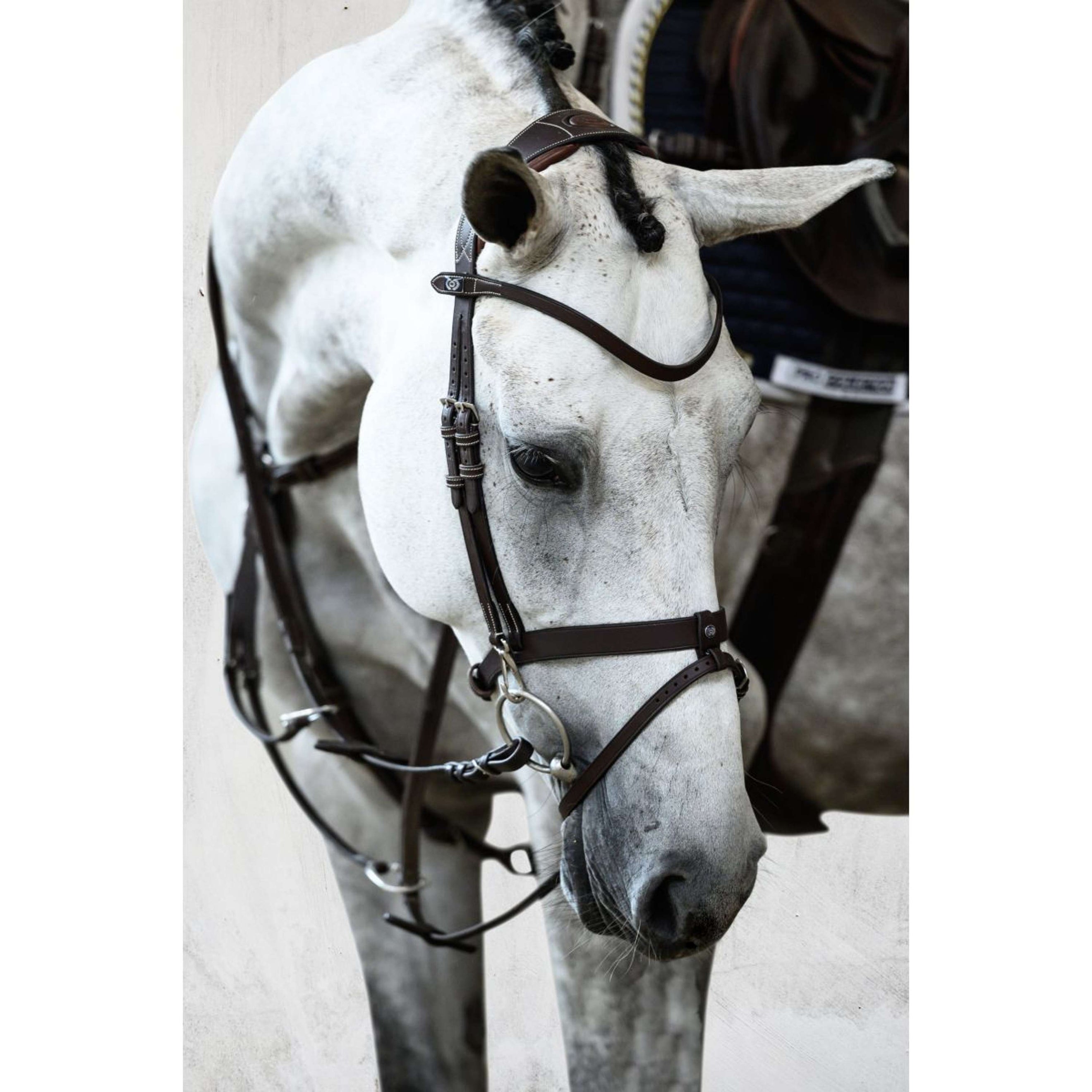 PS of Sweden Trense London Braun PS of Sweden Trense London Braun