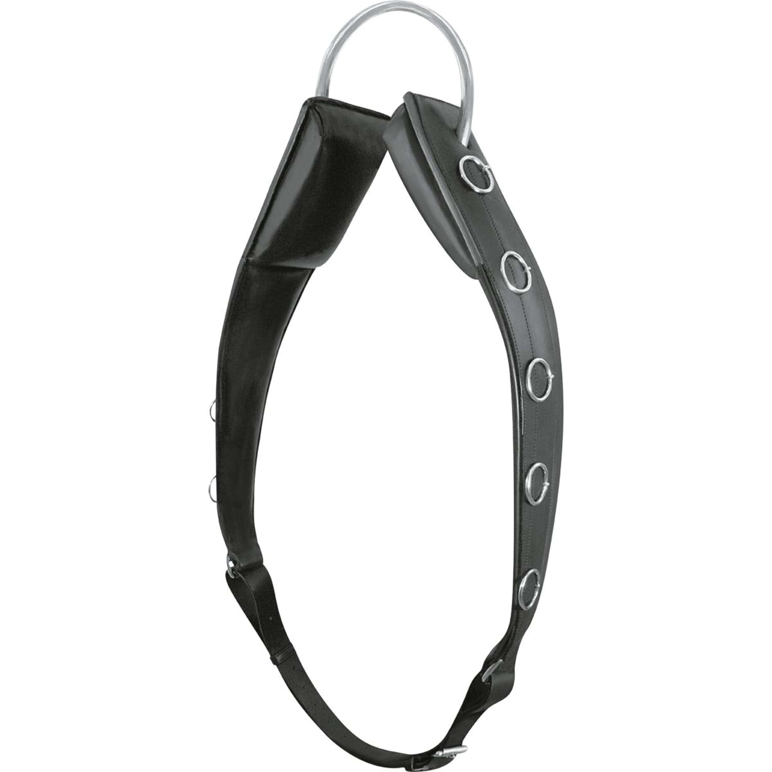 Passier Longiergurt Horst Becker Schwarz