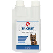 Sectolin Silicium Hund