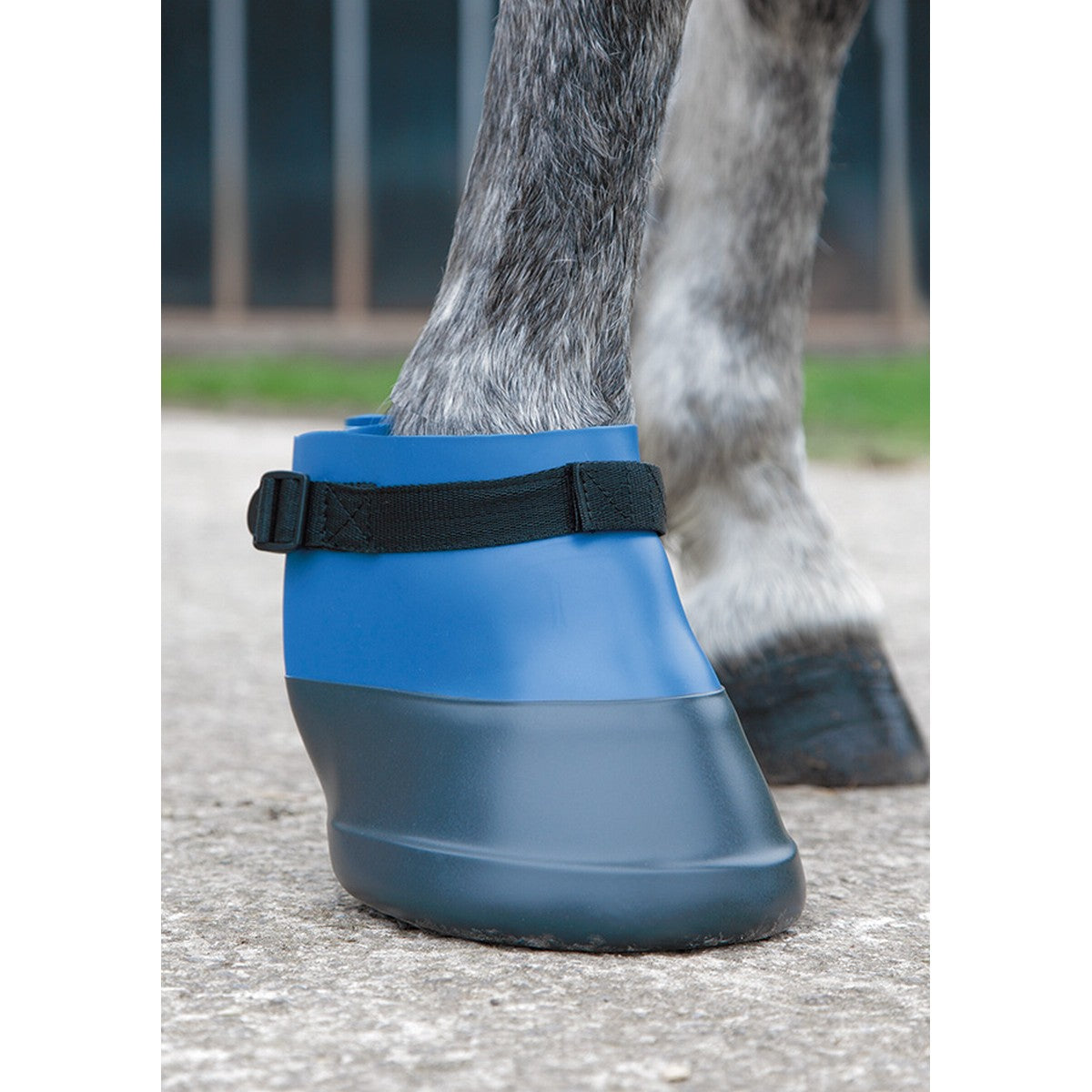 Shires Hufschuh Blau