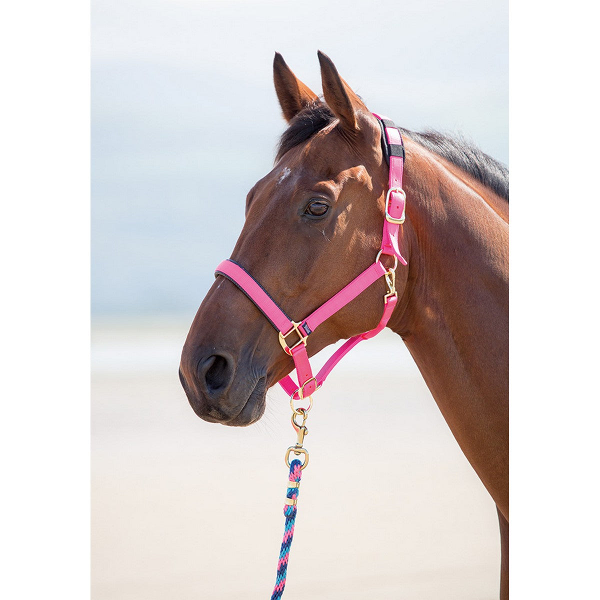 Shires Halfter Topaz Nylon Rosa