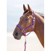 Shires Halfter Topaz Nylon Violett