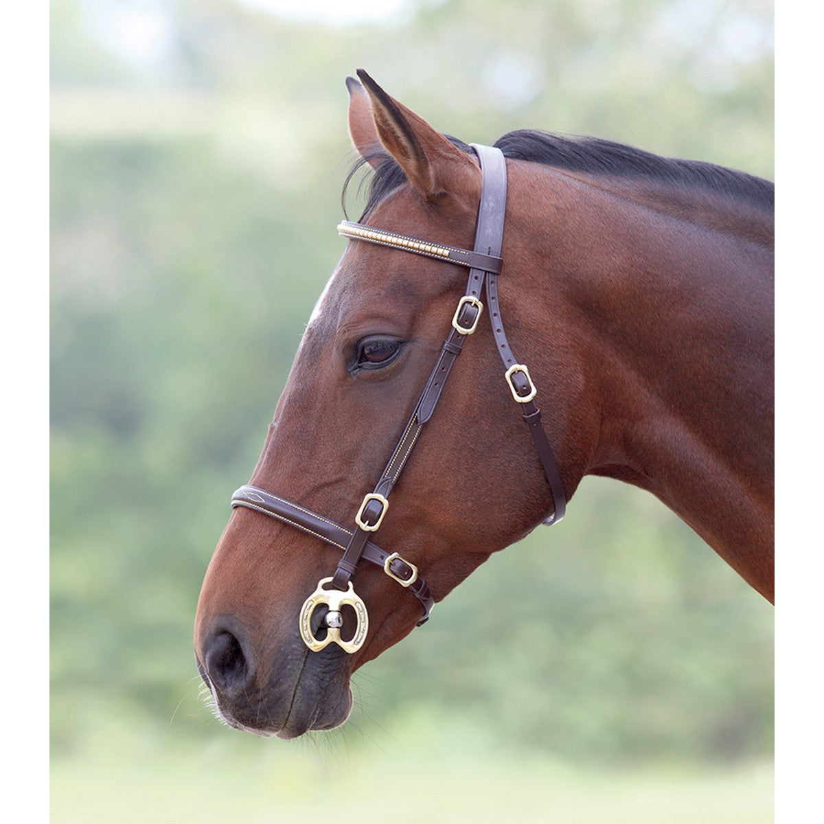 Blenheim by Shires Trense Showtrense Havanna