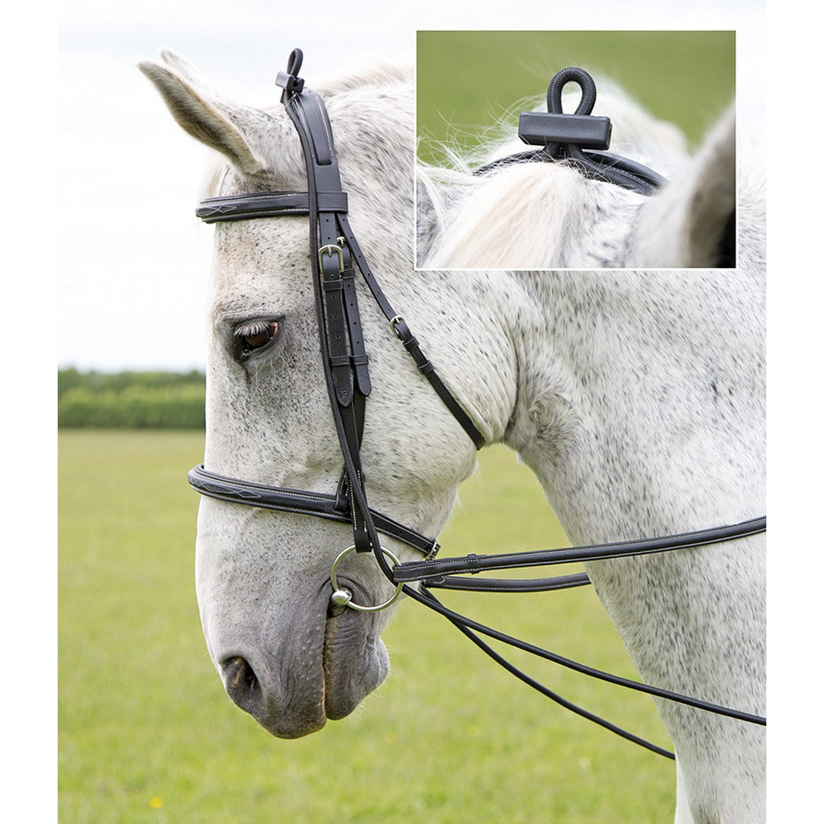 Shires Trainingszügel Elastisch Schwarz