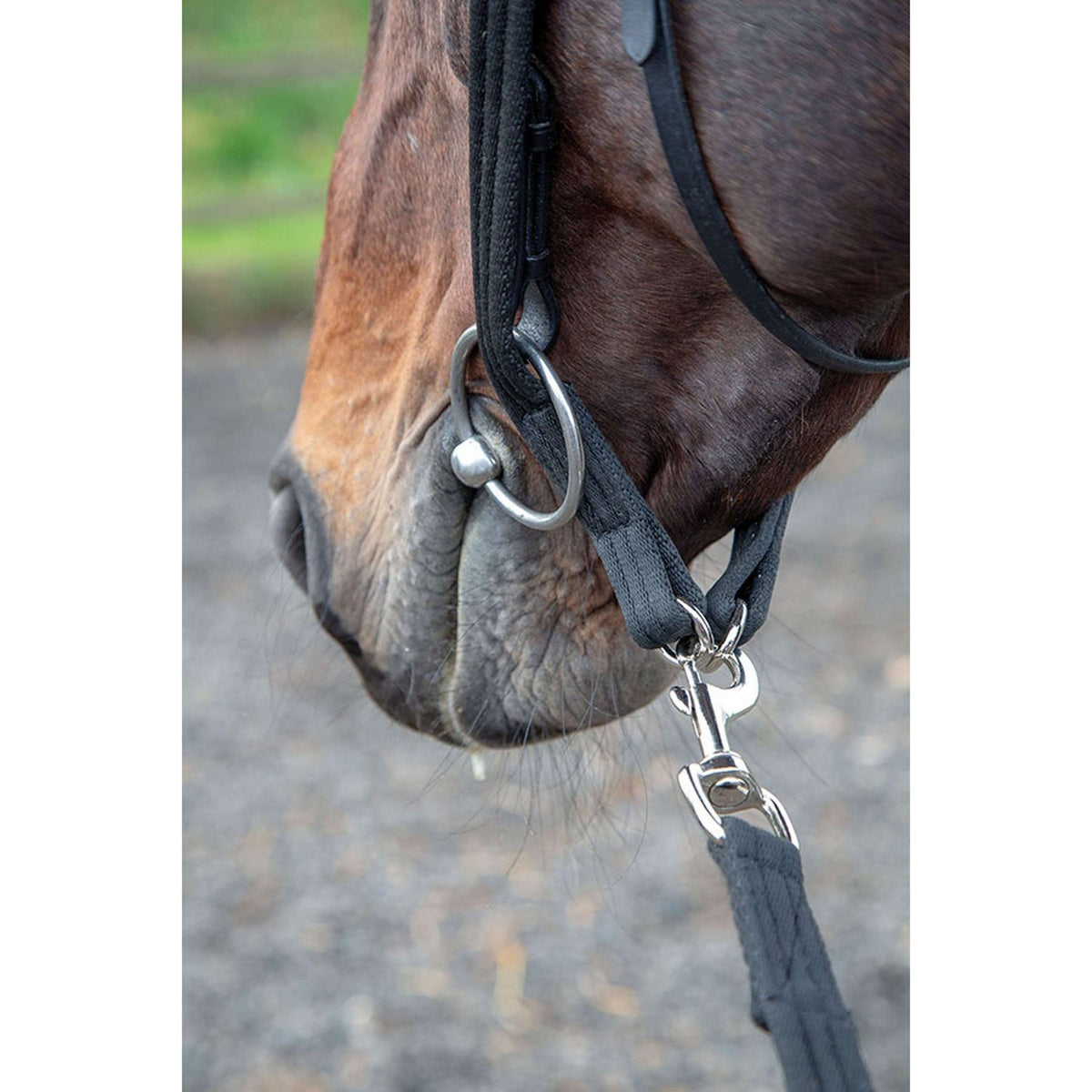 Shires Longierhilfe Kopfstück Schwarz