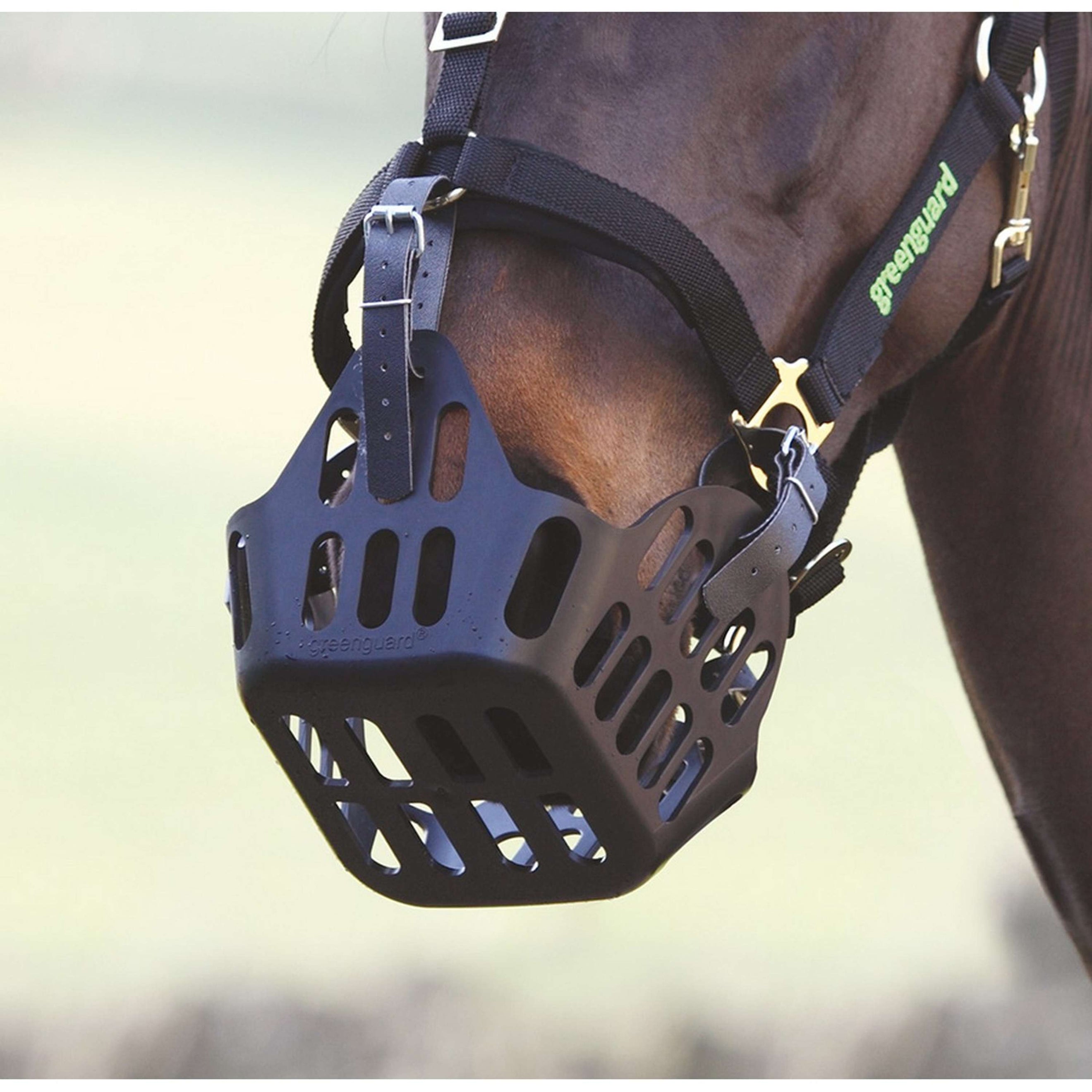 Greenguard Ersatzriemen Schwarz Greenguard Ersatzriemen Schwarz