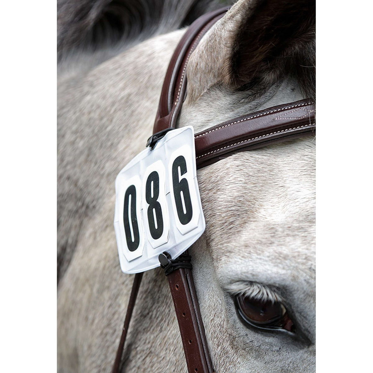 Shires Startnummern Halter Comfort Weiß